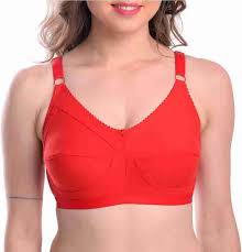 Hosiery Bra